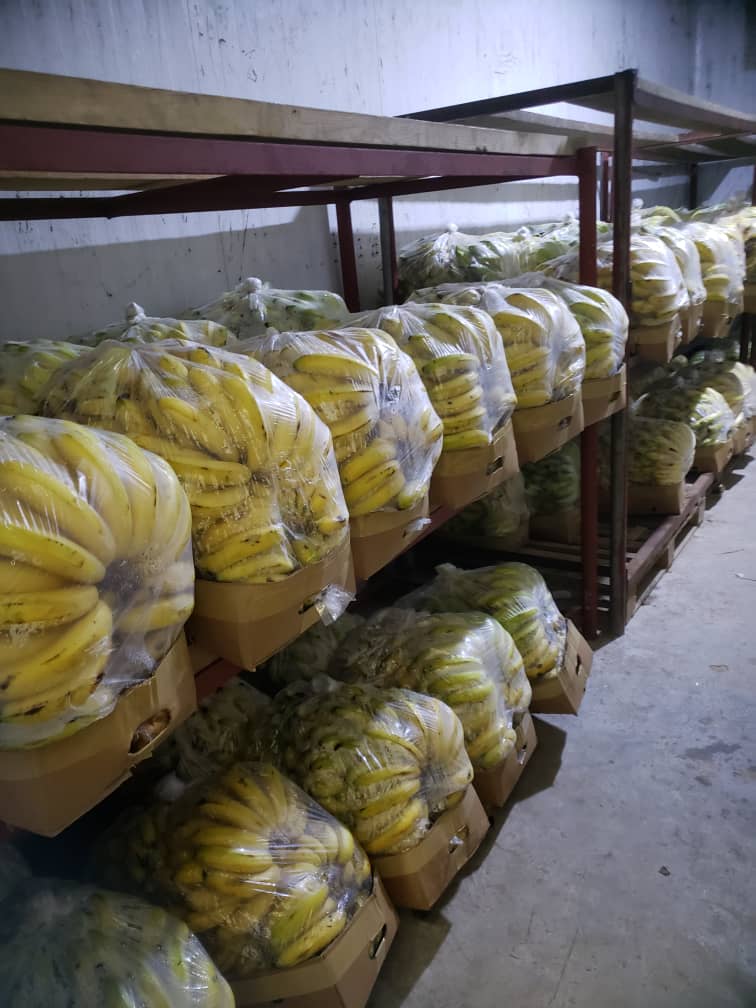 /ثلاجة إب المركزية للموز