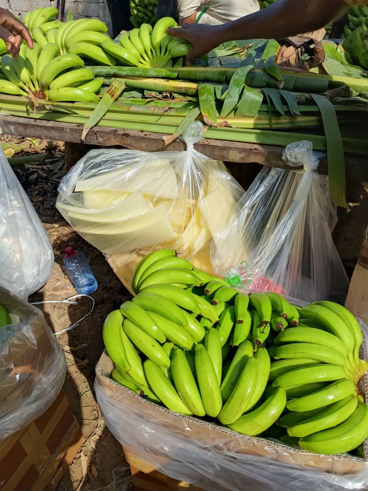 /ثلاجة إب المركزية للموز