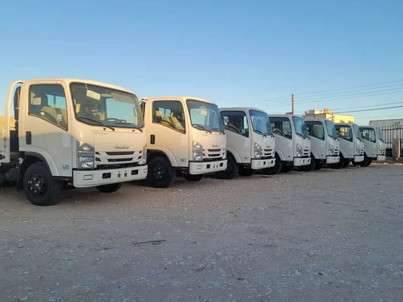 Import and marketing of used cars